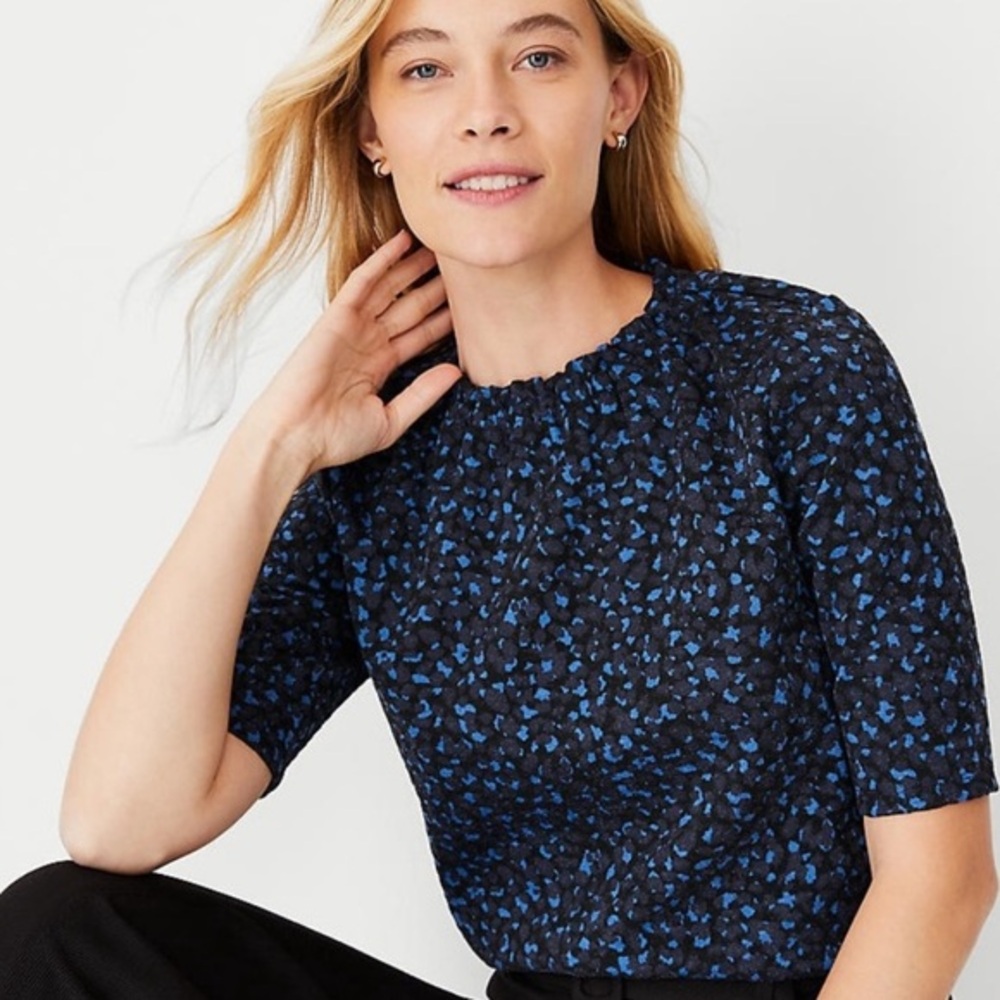 Ann Taylor Leopard Top